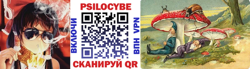 Купить закладки  Чистополь  Псилоцибиновые грибы Magic Shrooms 